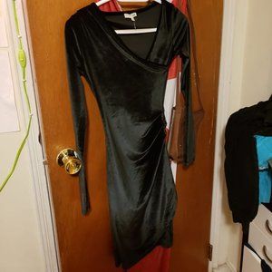 BNWOT Aritzia Velvet Dress